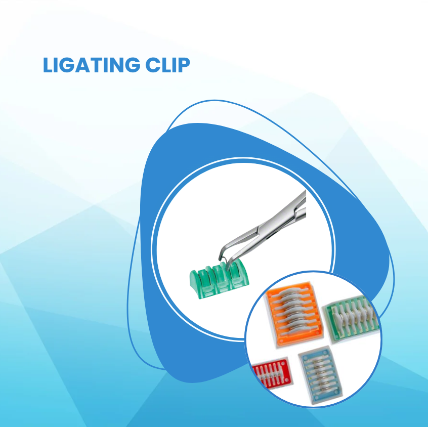 Techniplex Admin Panel promo